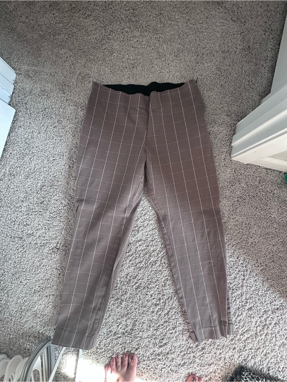 Women’s Brown Windowpane Dress Pants